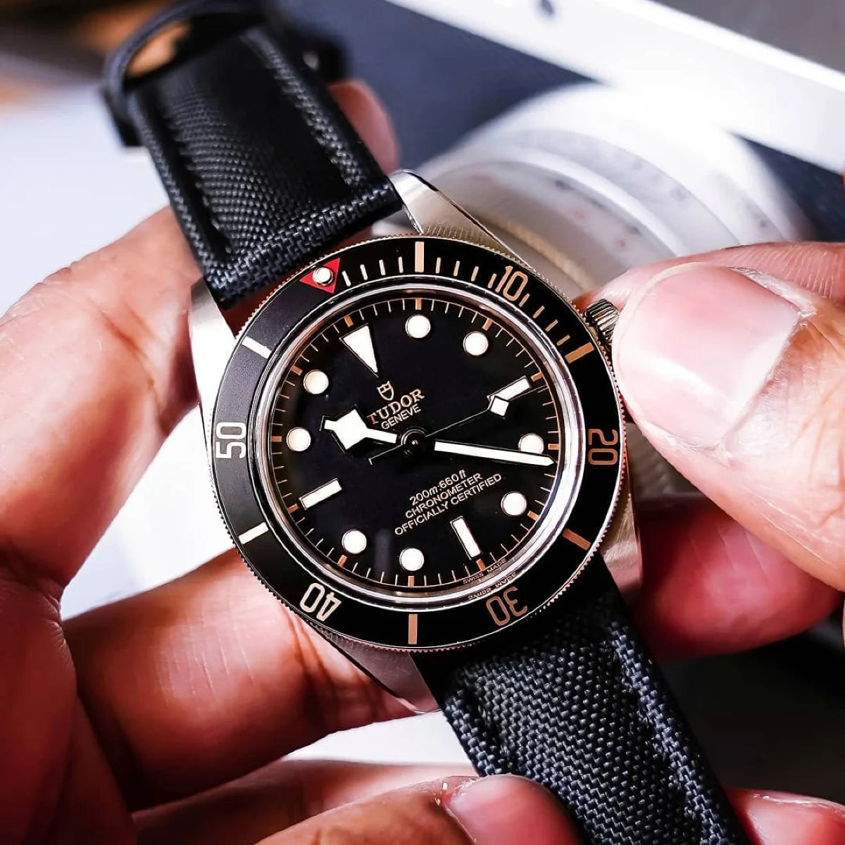 Close-up of a Tudor watch with a black strap held in hands